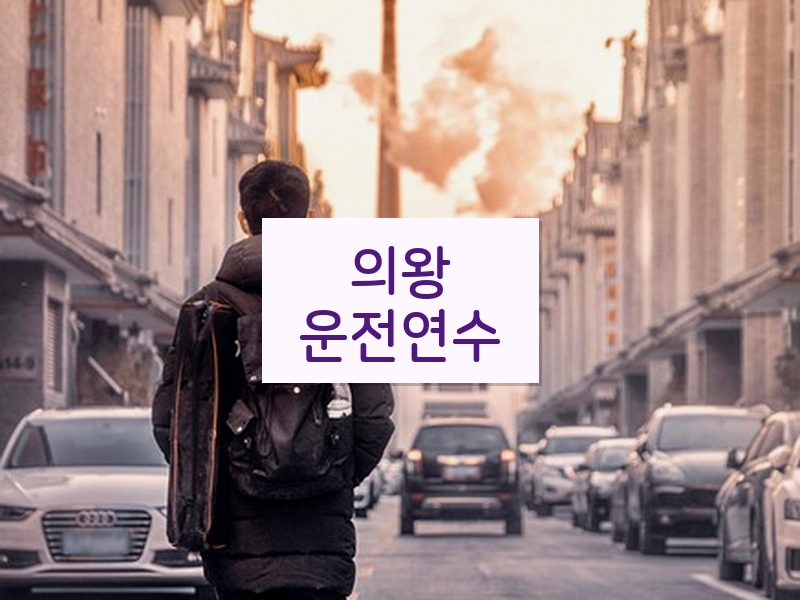 의왕운전연수 후기