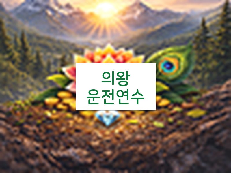 의왕운전연수 후기