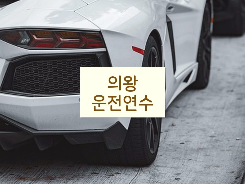 의왕운전연수 후기