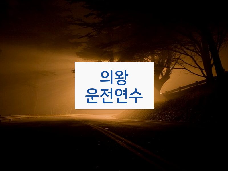 의왕운전연수 후기