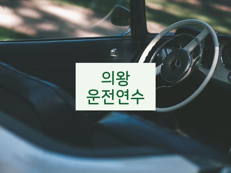 의왕운전연수 후기