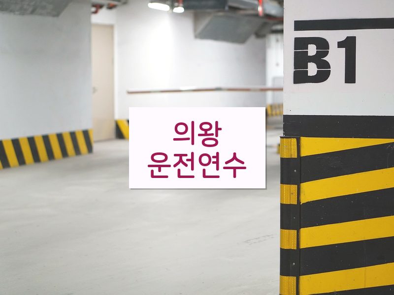 의왕운전연수 후기