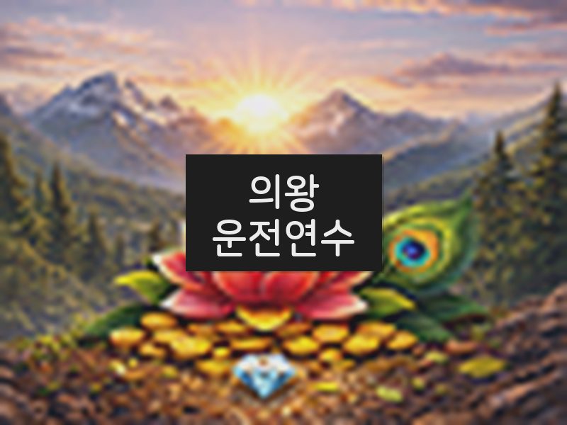 의왕운전연수 후기