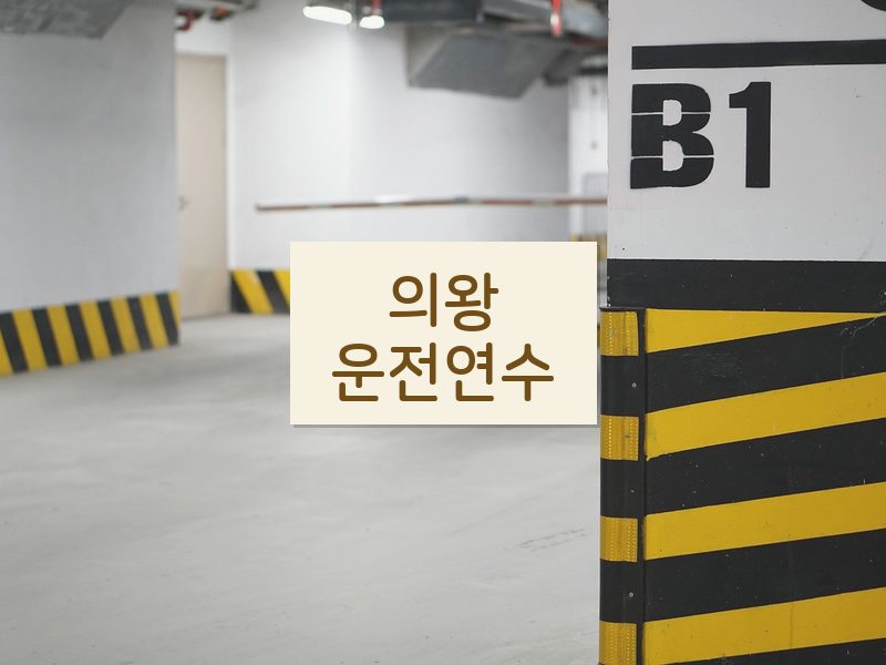 의왕운전연수 후기