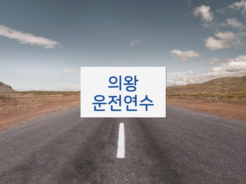 의왕운전연수 후기