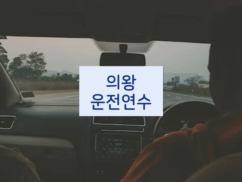 의왕운전연수 후기