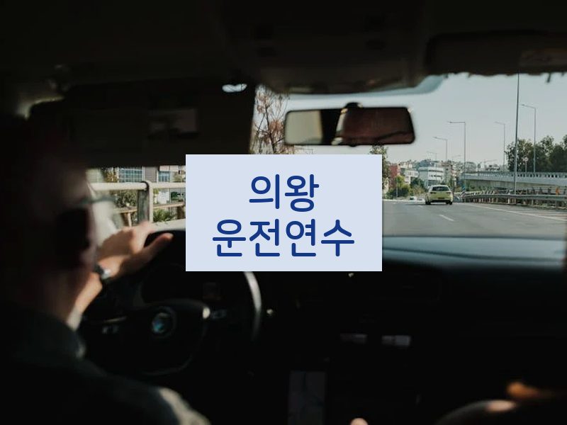 의왕운전연수 후기