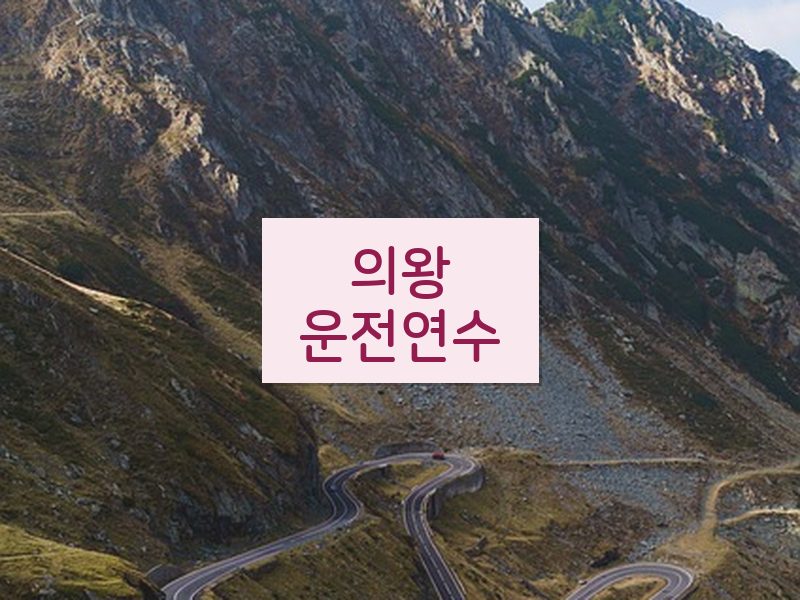 의왕운전연수 후기