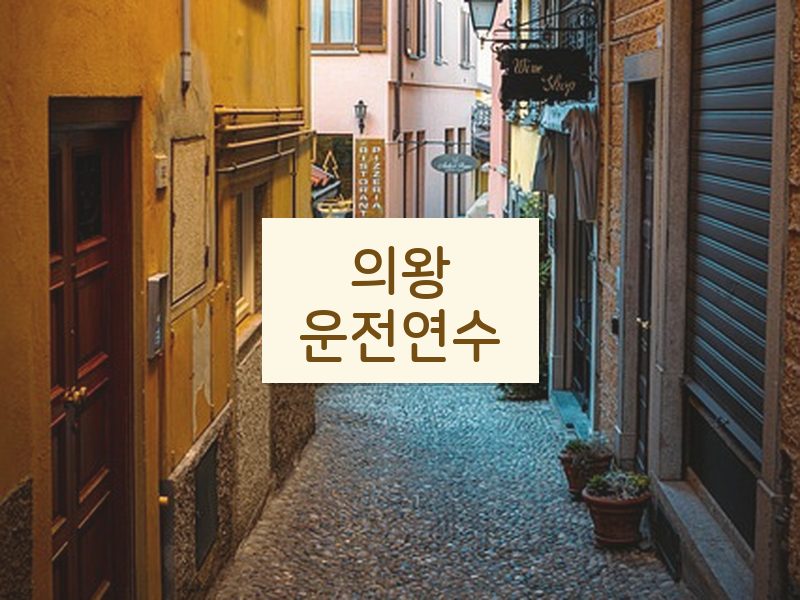 의왕운전연수 후기