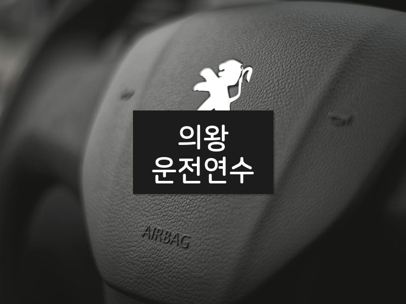 의왕운전연수 후기