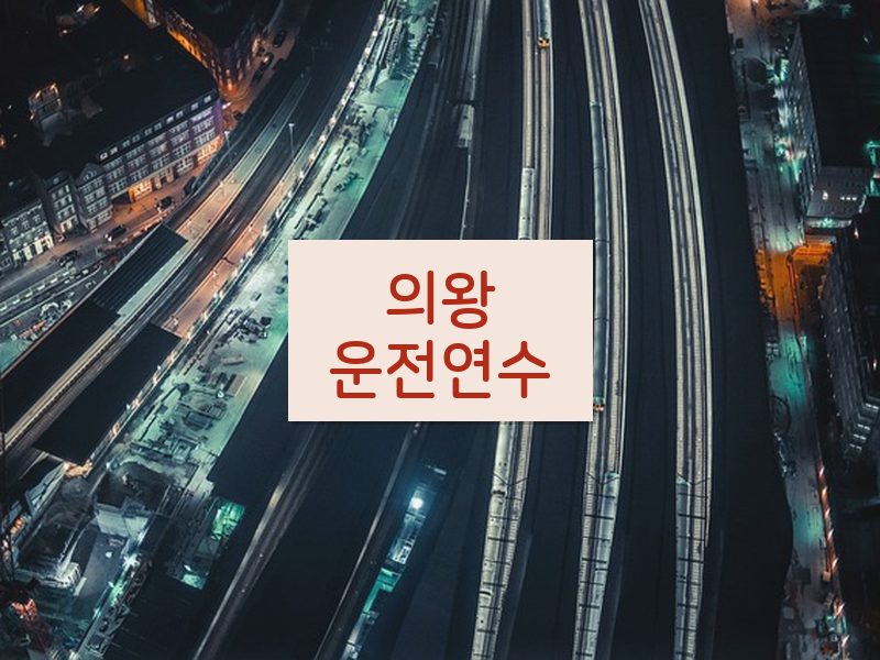 의왕운전연수 후기