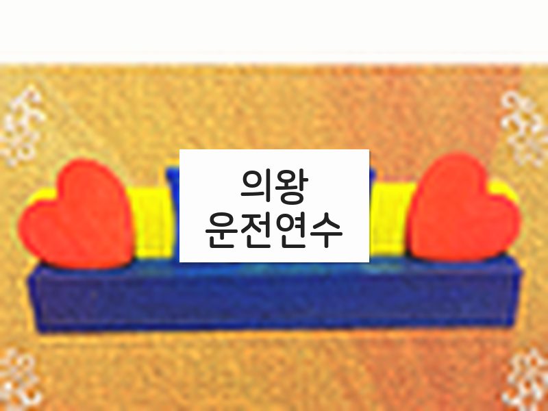 의왕운전연수 후기