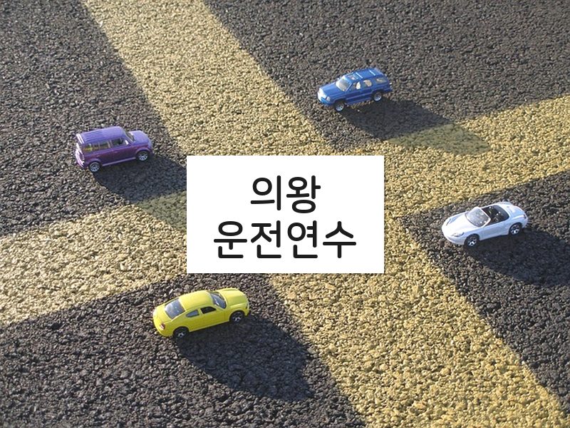 의왕운전연수 후기