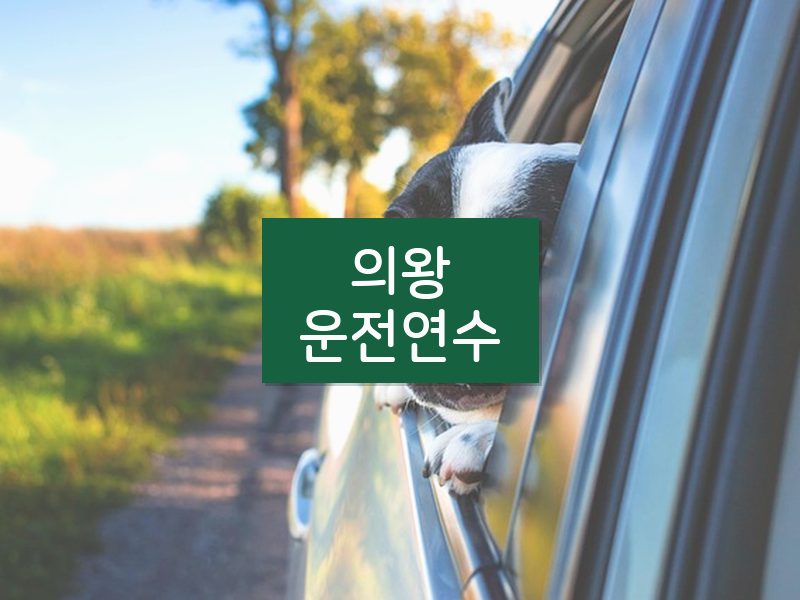 의왕운전연수 후기