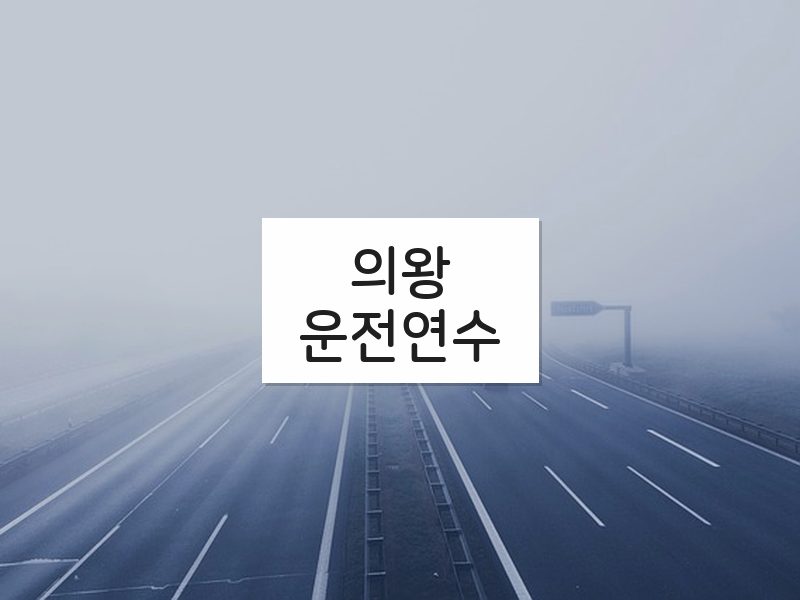 의왕운전연수 후기