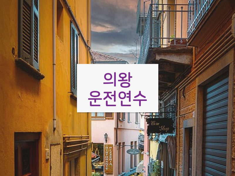 의왕운전연수 후기