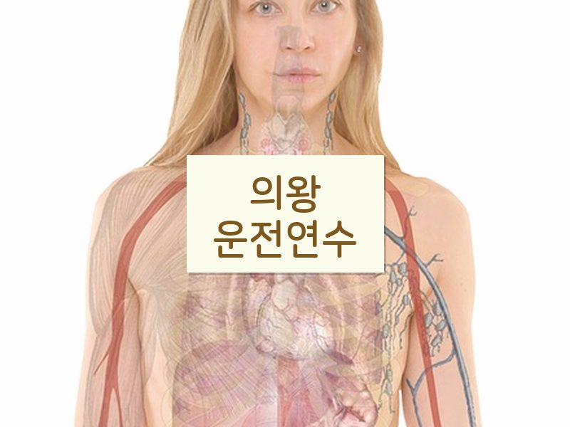 의왕운전연수 후기