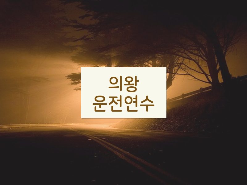 의왕운전연수 후기