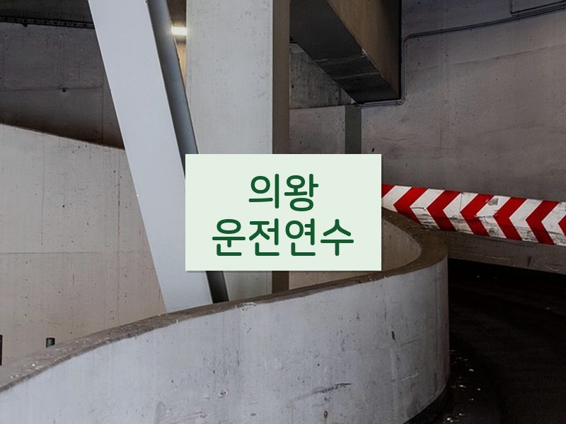 의왕운전연수 후기