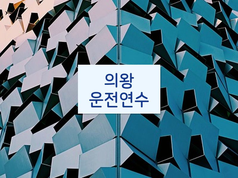 의왕운전연수 후기