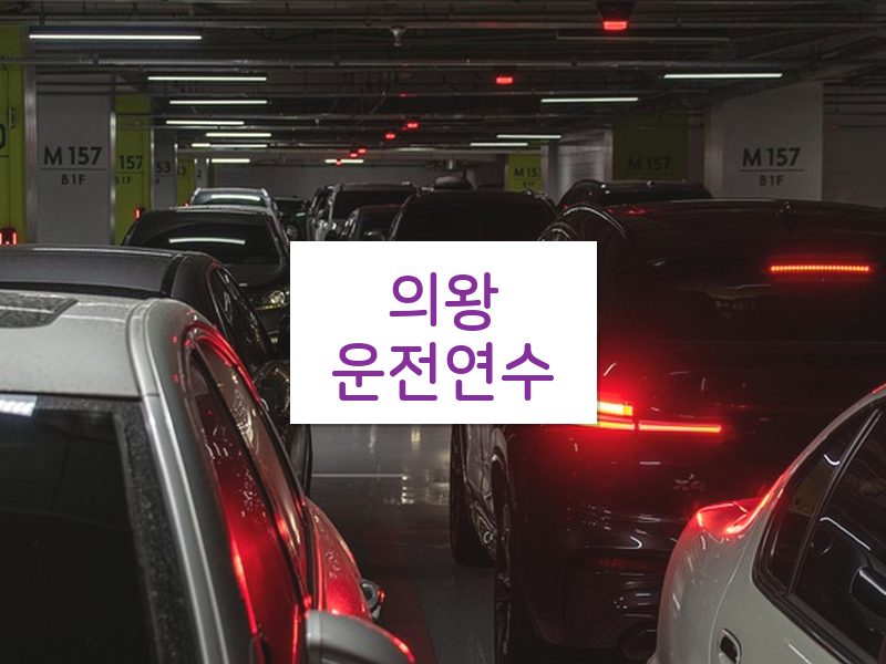 의왕운전연수 후기