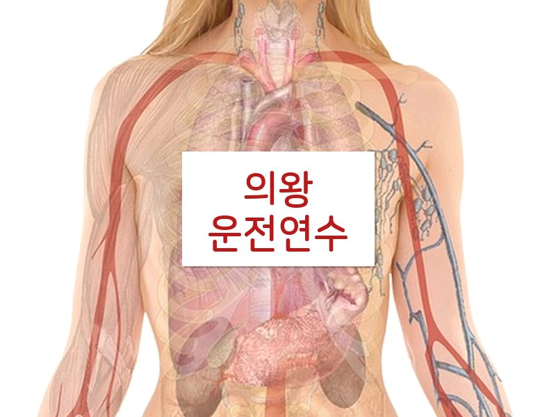 의왕운전연수 후기