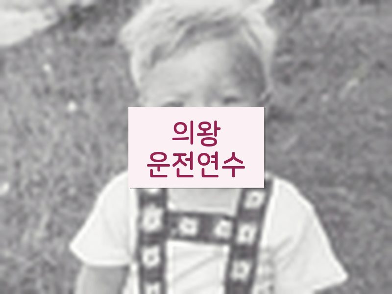 의왕운전연수 후기