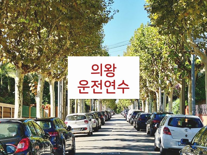 의왕운전연수 후기