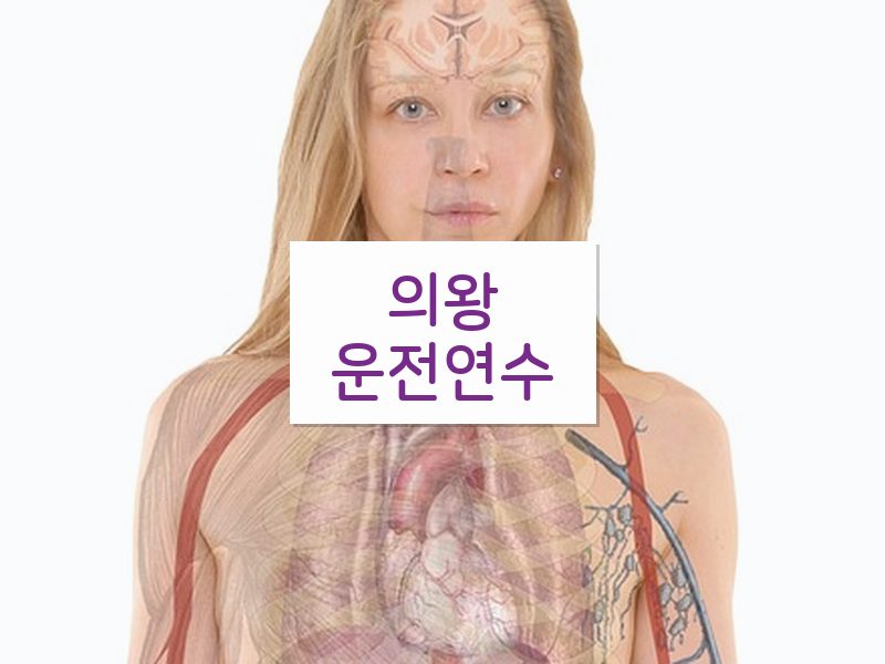의왕운전연수 후기