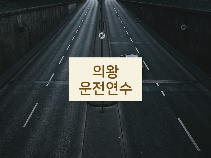 의왕운전연수 후기