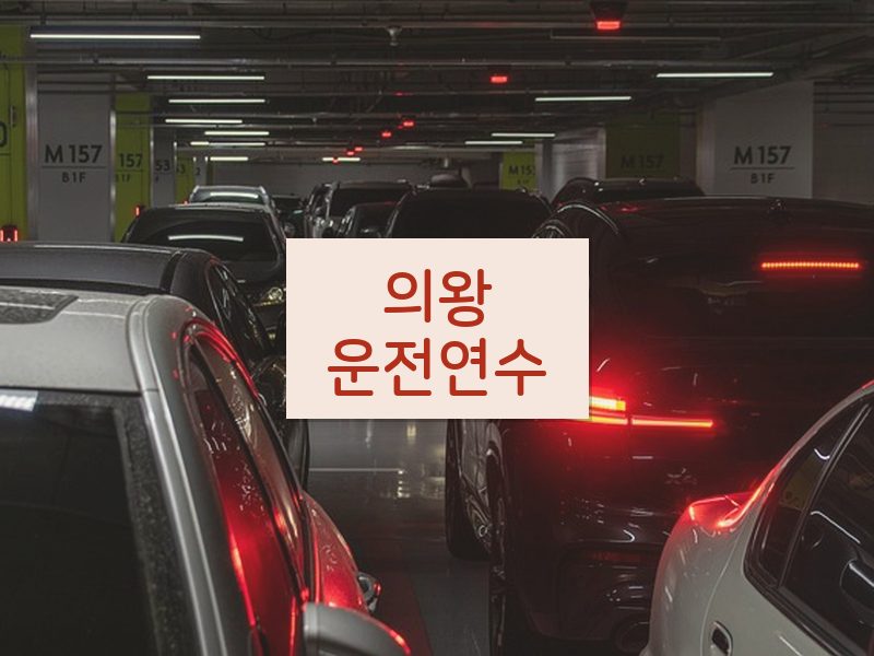 의왕운전연수 후기