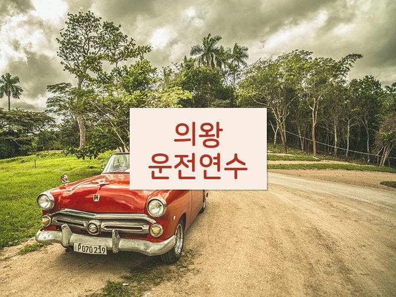 의왕운전연수 후기