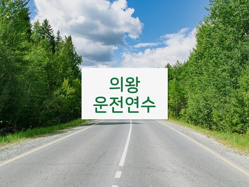 의왕운전연수 후기
