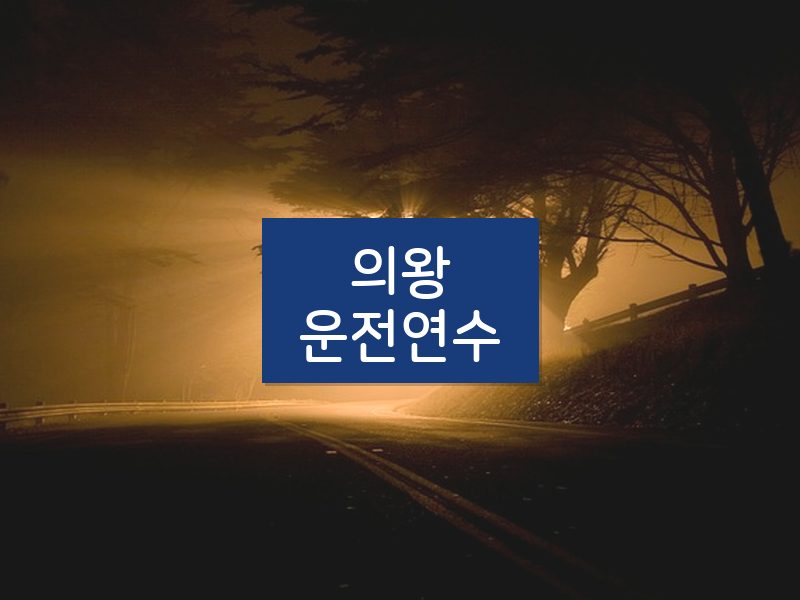 의왕운전연수 후기