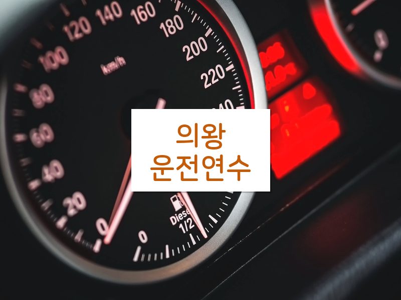 의왕운전연수 후기