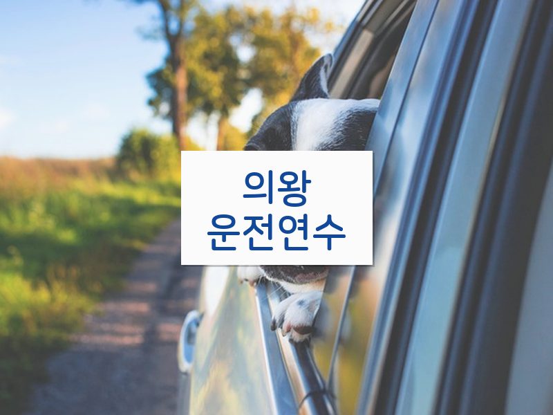 의왕운전연수 후기
