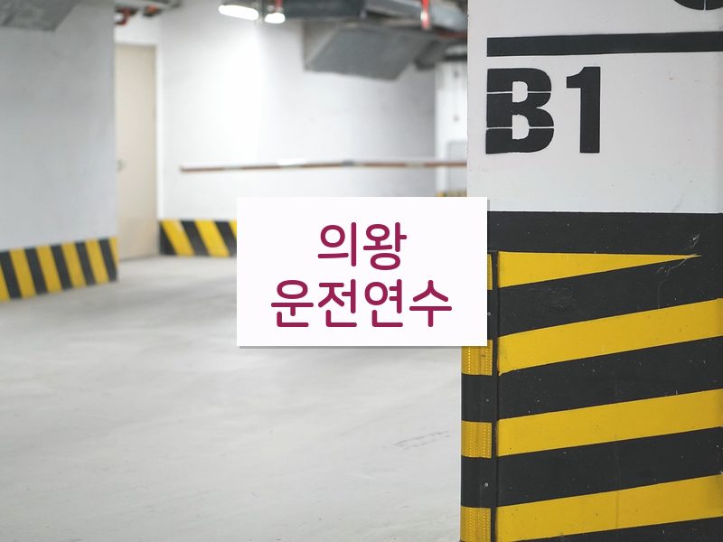 의왕운전연수 후기