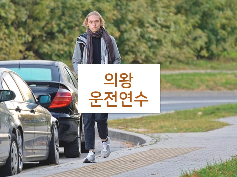 의왕운전연수 후기