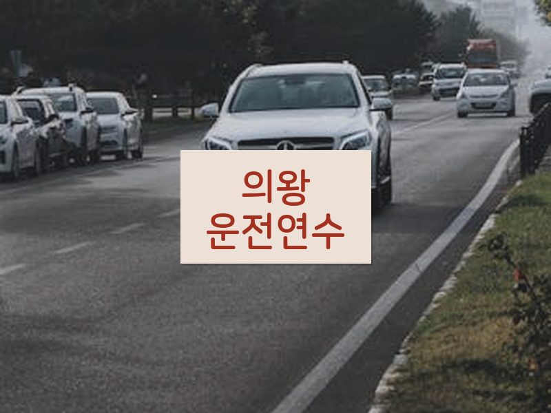 의왕운전연수 후기