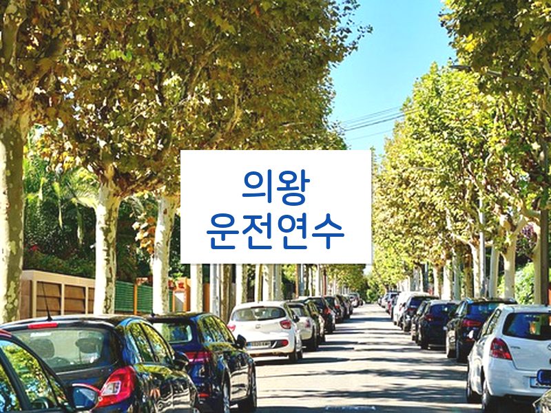 의왕운전연수 후기