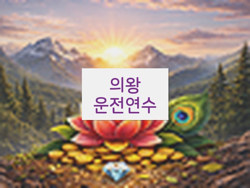 의왕운전연수 후기