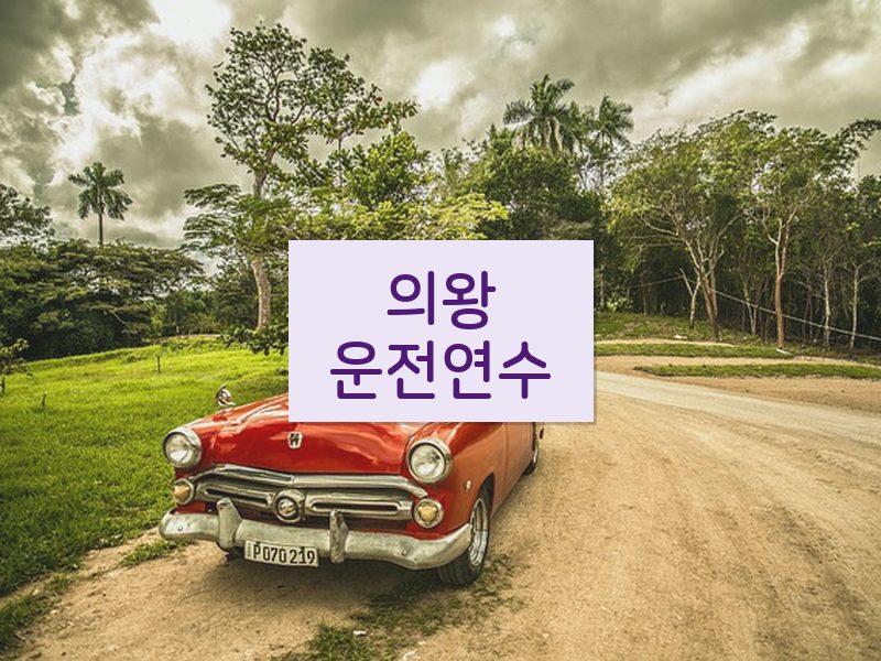 의왕운전연수 후기