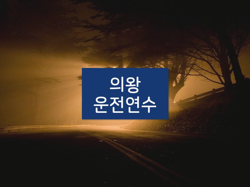 의왕운전연수 후기