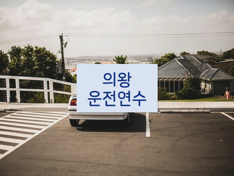 의왕운전연수 후기