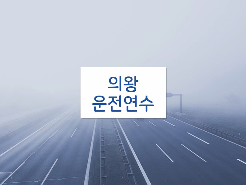 의왕운전연수 후기