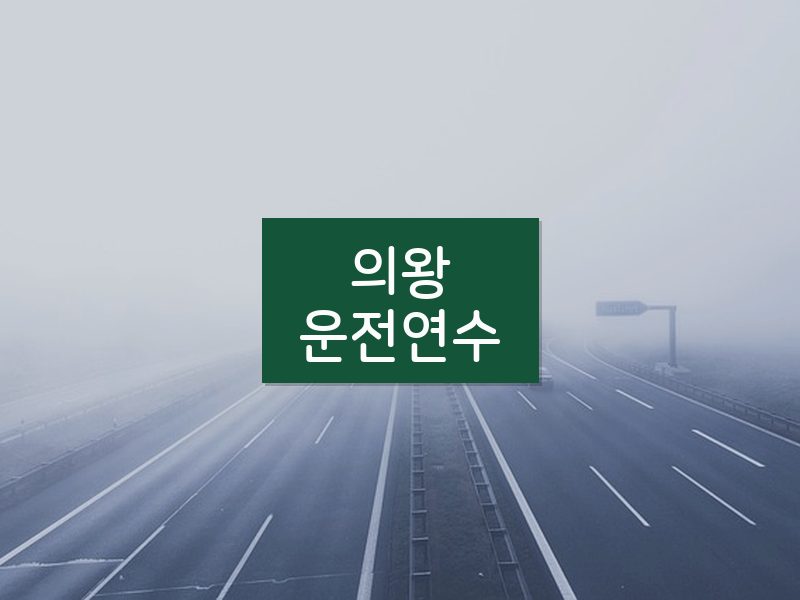 의왕운전연수 후기