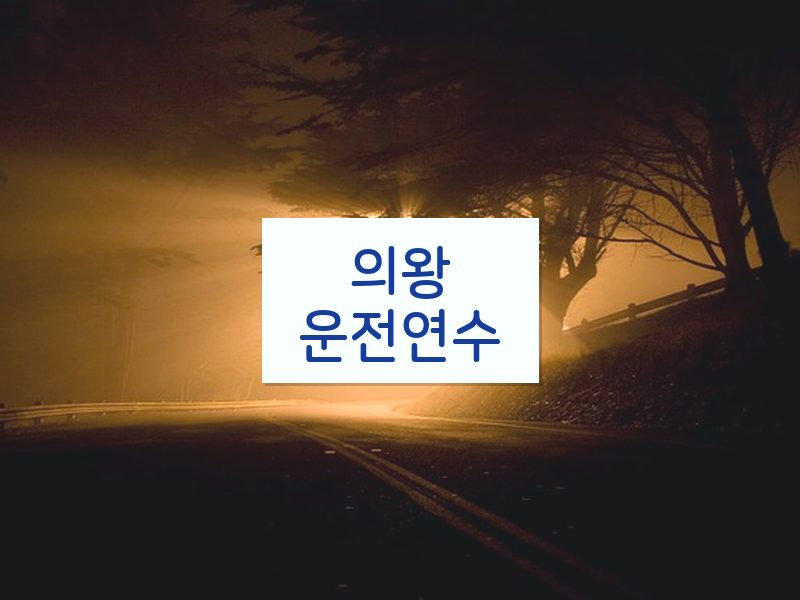 의왕운전연수 후기