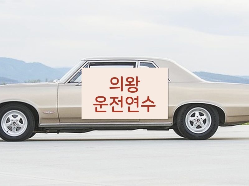 의왕운전연수 후기
