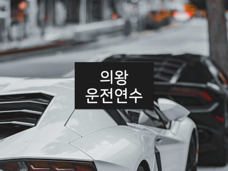 의왕운전연수 후기