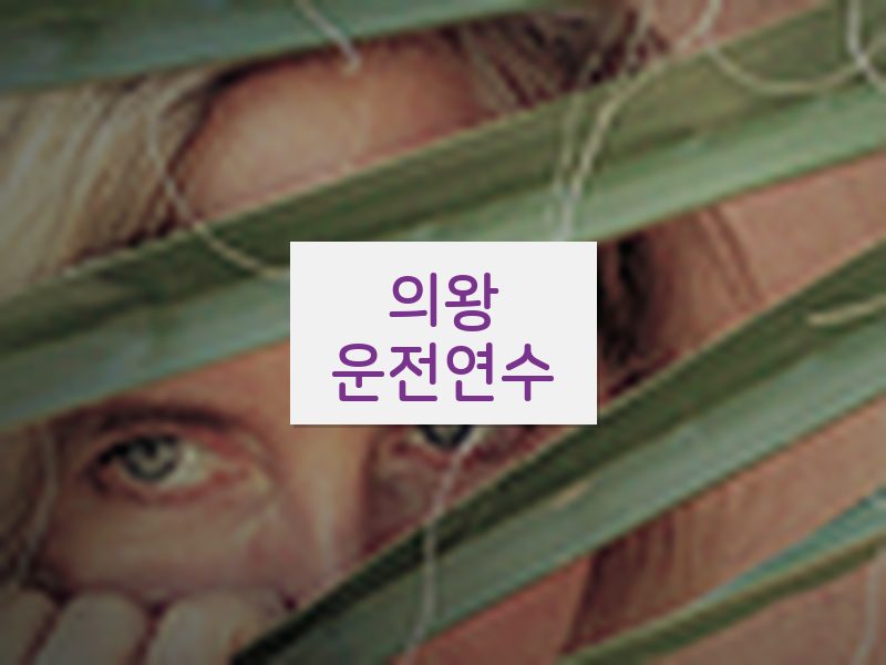 의왕운전연수 후기